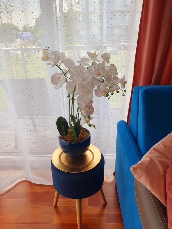 Apartament Comfort I Kołobrzeg Zewnętrze zdjęcie